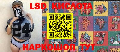 спайс Берёзовский