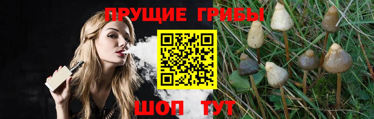 Кинель  Псилоцибиновые грибы мицелий  где продают наркотики  Вход с VPN  Галлюциногенные грибы мицелий 